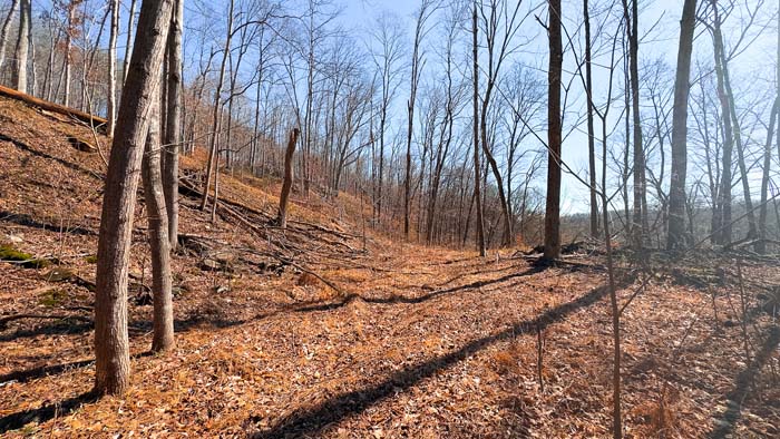 Wooded acreage ideal for hunting and outdoor recreation