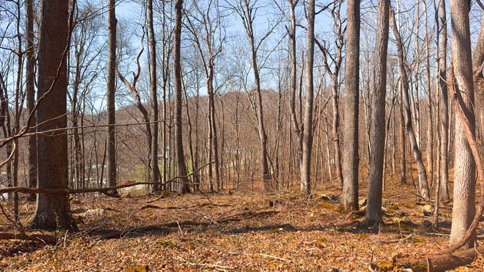 Southern Ohio hunting land with natural trails and timber