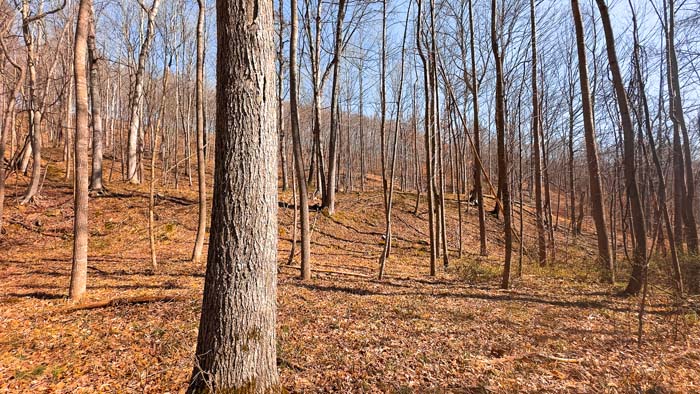 Recreational property with diverse terrain and wooded cover