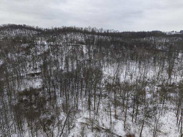 Build site potential with electric available at road on Noble County Ohio property