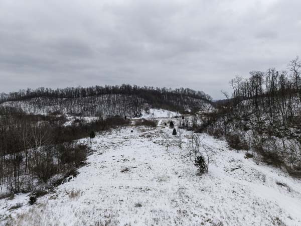 Whitetail habitat created by timber and food plot combination in Ohio