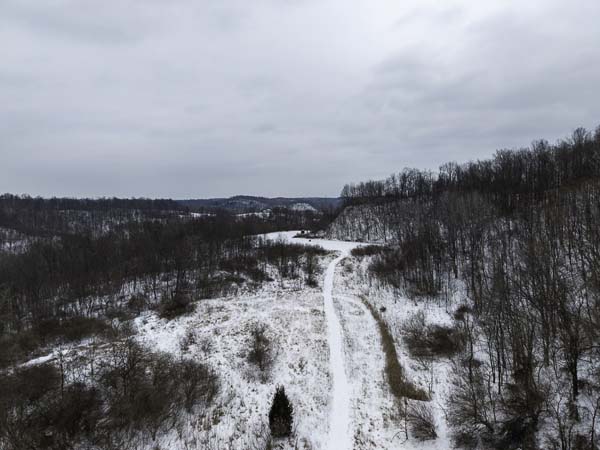 Interior view of timber stand management on southeastern Ohio land