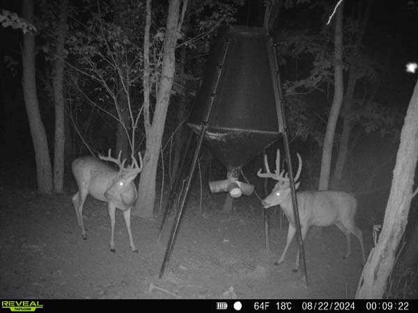 Expansive Noble County Ohio acreage suitable for hunting and investment