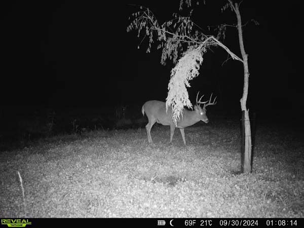 Remote and private Ohio land tract with strong hunting potential