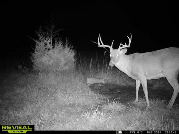 Large established food plots covering 37 acres on Noble County Ohio farm