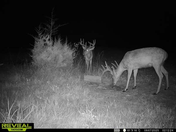Food plot system designed for wildlife management on southeastern Ohio land