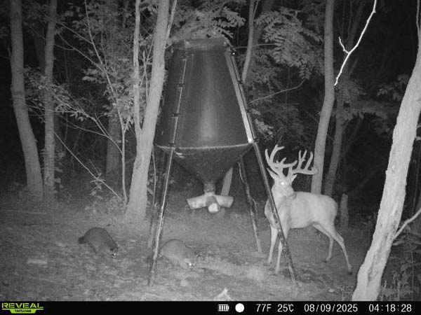 Rock outcroppings and elevation changes on Ohio recreational land for sale