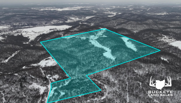 166+/- Acres, Dexter City, OH 45727