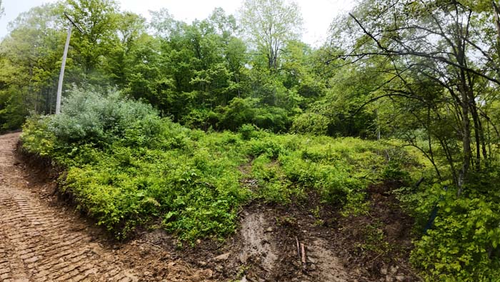 peaceful retreat site with forest access