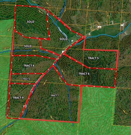 trail system through regrowth timber