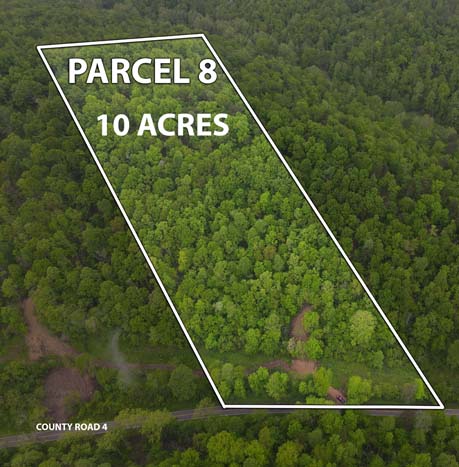 quiet homesite potential in Pedro Ohio