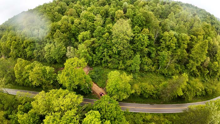 build site near forest border