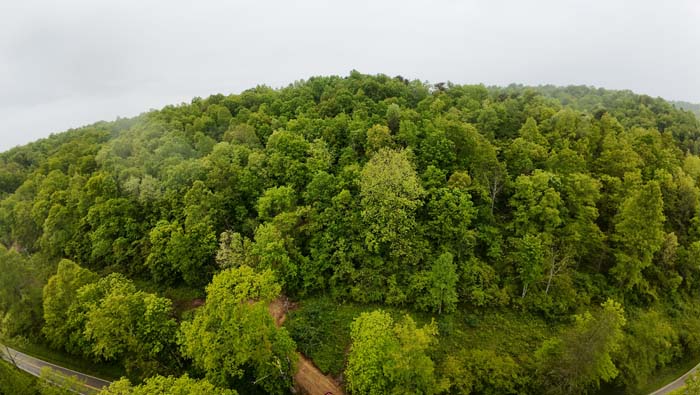 select cut woodland trail access