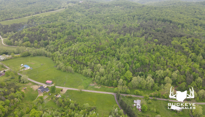 County Road 4 30+/- Acres, Pedro, Ohio, 45659