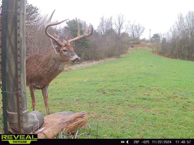 photo showing secluded nature and privacy of parcel