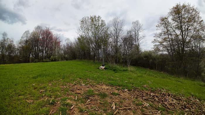 pine and hardwood forest with excellent turkey habitat