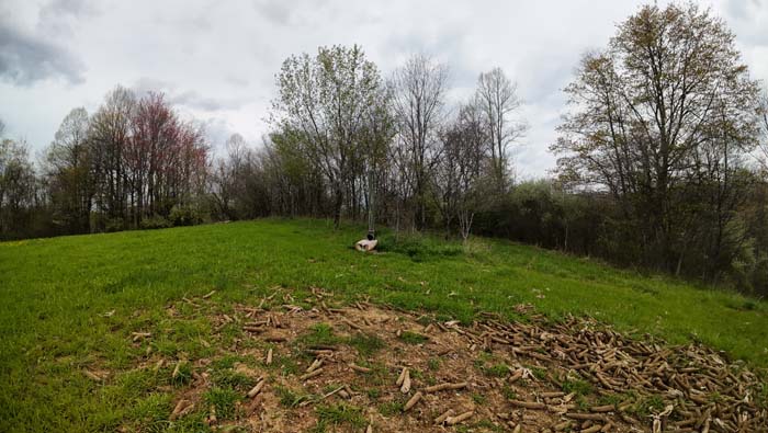 clearings ideal for home or cabin site with utilities nearby