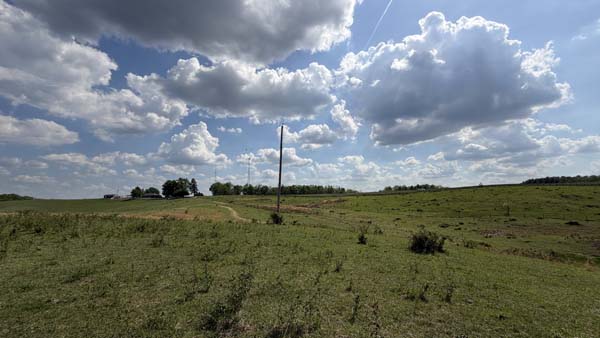 Ohio cattle farm with open grazing ground