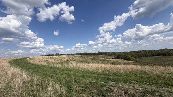 Open field and farmland in southern Ohio