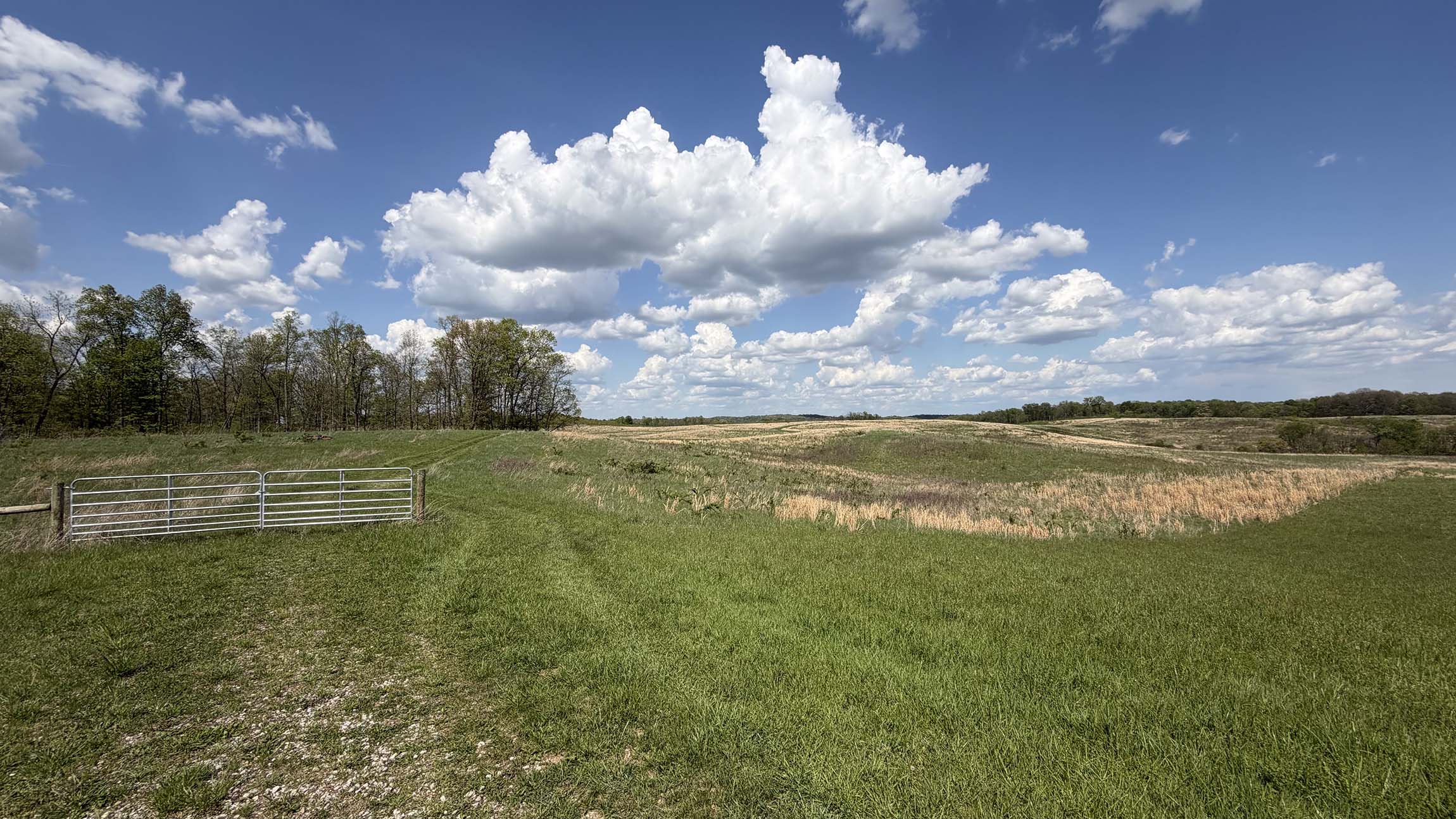 0 Curry Road Tract 2 — 71-acre Vinton County farmland with stocked fishing pond and multiple build sites, McArthur, Ohio