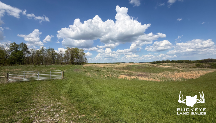 Curry Road Tract 2 71 acres McArthur Ohio