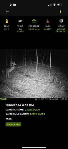 Small game clearing near dense woodland