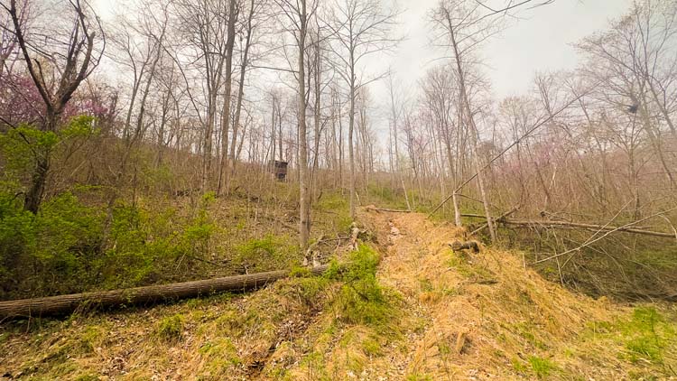 Worn deer path along property border