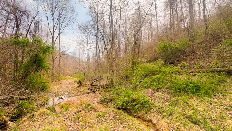 Old logging path repurposed for access