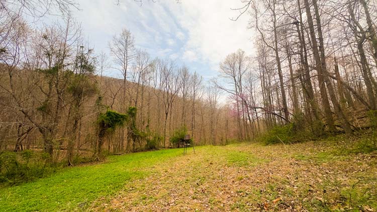 Quiet retreat tucked away from road