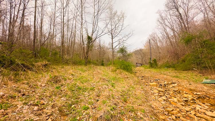 Woodline offering ideal stand location