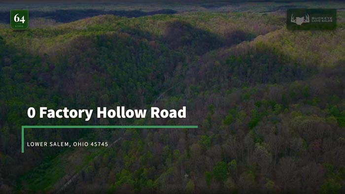 64-acre Noble County Ohio land with road frontage