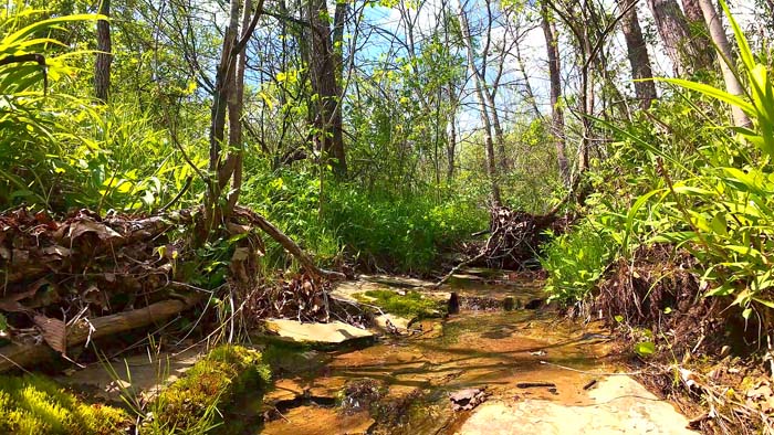 Ohio land with road frontage and wooded acreage