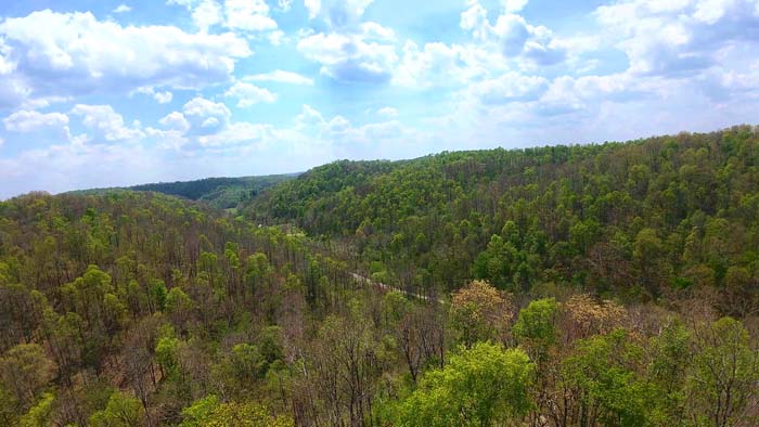 Wooded acreage with creek running through property