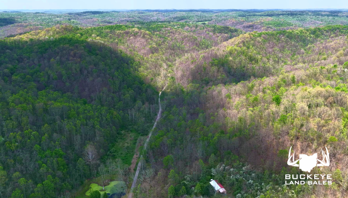 64.5+/- Acres,  , Lower Salem, OH 45745