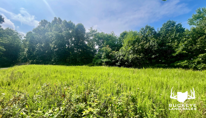 6.538+/- Acres,  Cambridge, OH, 43725