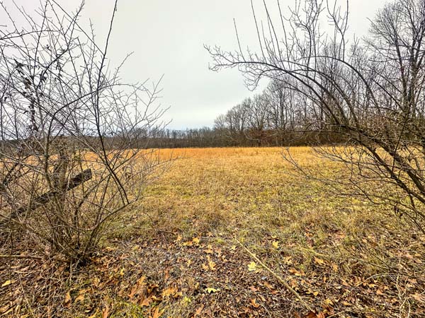 Homesite location options on gently rolling land in Morgan Township Gallia County Ohio