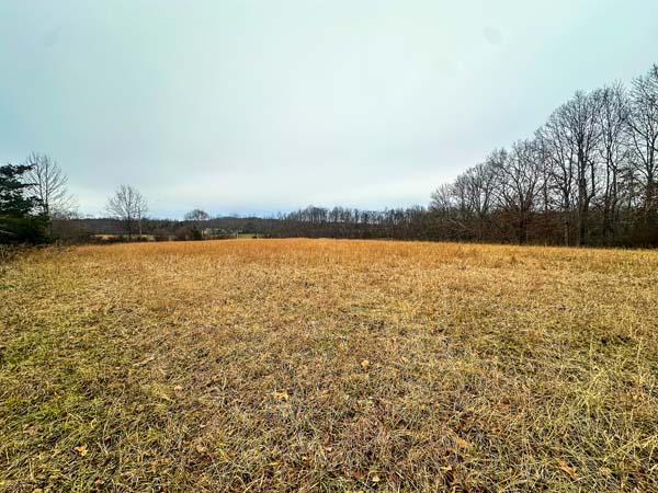 Peaceful rural countryside setting on George Road Gallia County Ohio land for sale