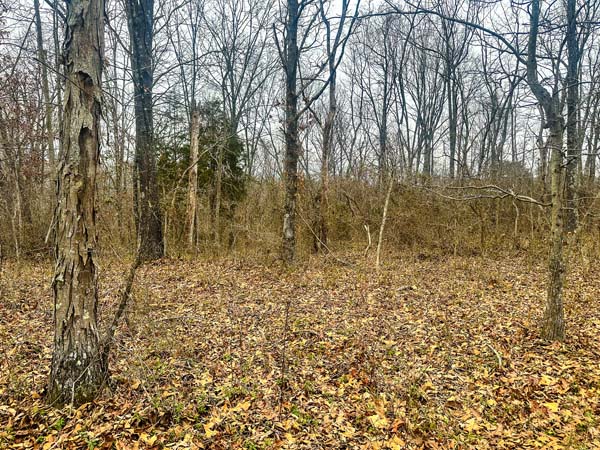 Build ready land with utility access at road in Morgan Township Gallia County Ohio