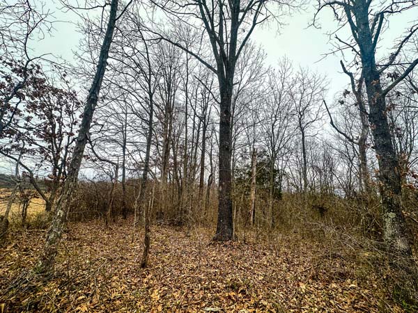 Country setting suitable for permanent home or retreat in Gallia County Ohio