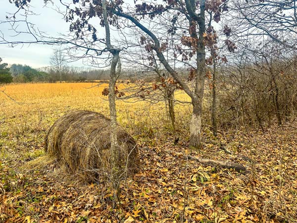 Long range rural views from open field on 10 acre tract in southeastern Ohio