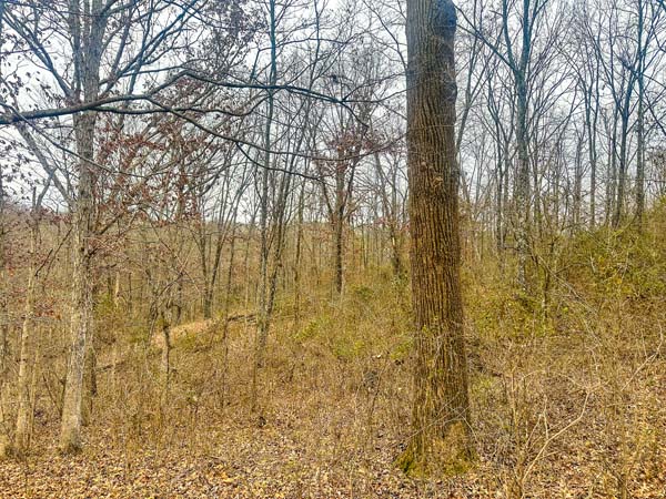 Usable acreage with public road access on George Road Gallia County Ohio