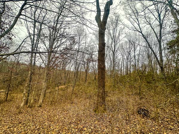 Quiet countryside location near State Route 554 in Gallia County Ohio