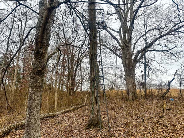 Ten acre land investment opportunity in southeastern Ohio Gallia County