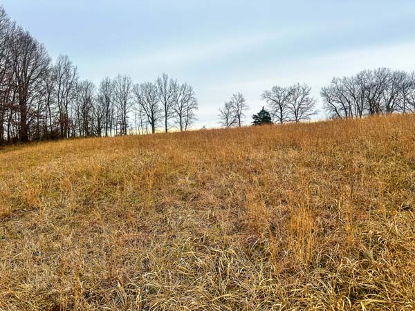 Open field suitable for construction on 10 acre property in Gallia County Ohio