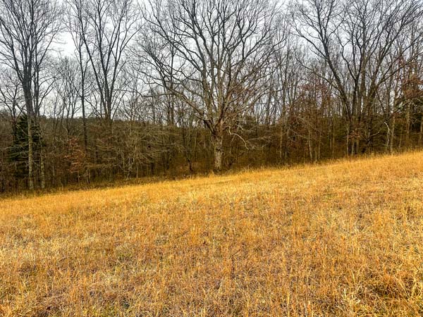 Rural land tract with scenic countryside views in Morgan Township Ohio