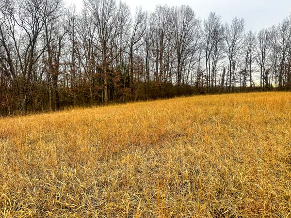 Build site flexibility on gently rolling acreage in Gallia County Ohio