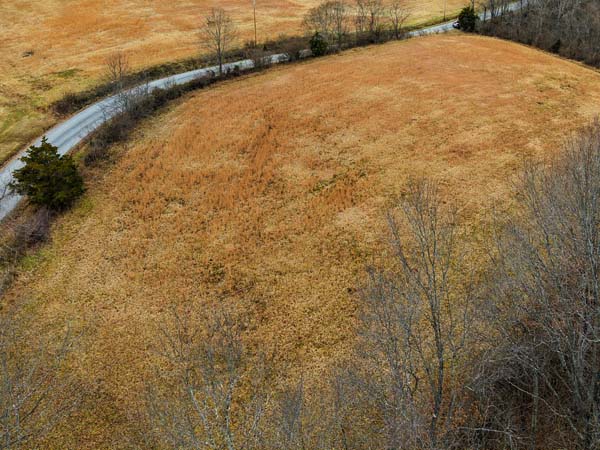Timber bordering open field on 10 acre land for sale in Gallia County Ohio