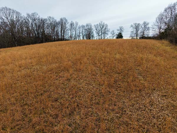 Country views from build ready land for sale in Gallia County Ohio