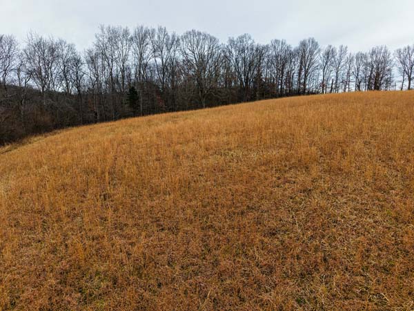 Public road frontage on George Road for 10 acre land tract in Gallia County Ohio