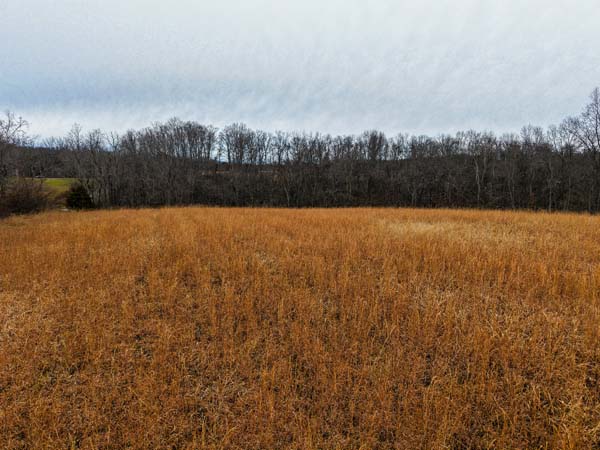 Lightly traveled blacktop road access to rural land in Morgan Township Gallia County Ohio